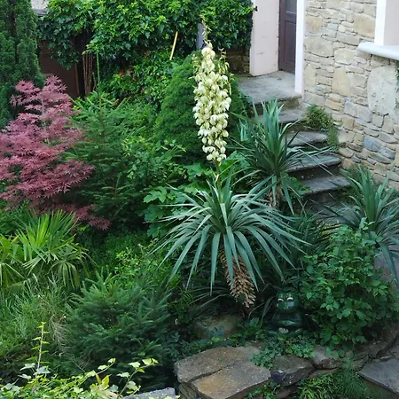 Apartment Casa Nel Bosco