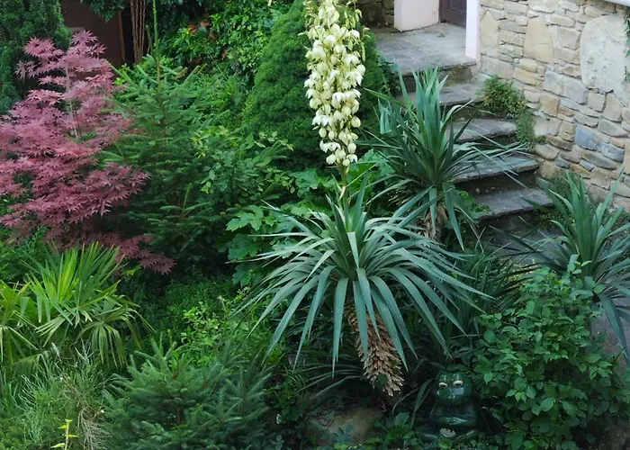 شقة Casa Nel Bosco